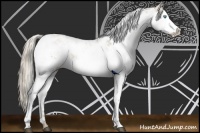 Horse Color:Chocolate Palomino Pearl Sabino 