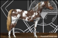 Horse Color:White Spotted Liver Chestnut 