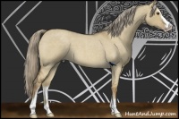 Horse Color:Chocolate Palomino Roan Dun Sabino