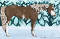 Horse Color:Silver Smoky Black Sabino 