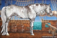 Horse Color:White Spotted Chocolate Silver Blue Onyx Chinchilla Sabino