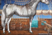 Horse Color:White Spotted Chocolate Silver Blue Onyx Chinchilla