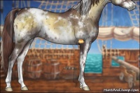 Horse Color:White Spotted Chocolate Smoky Blue Onyx Chinchilla