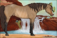 Horse Color:Bay Dun Varnish Rabicano 