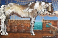 Horse Color:White Spotted Liver Red Onyx Sabino Brindle 