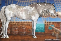 Horse Color:White Spotted Liver Red Dun Ice Splash 