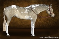 Horse Color:White Spotted Chocolate Palomino Dun Tobiano
