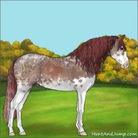 Horse Color:Painted Chocolate Bay Ice Splash