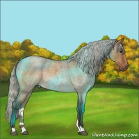 Horse Color:Silver Brown Roan Dun Rabicano