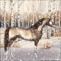 Horse Color:Red Onyx Ice Frame