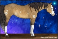 Horse Color:Buckskin Dun Sabino Splash 