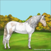 Horse Color:Red Ice Roan Pearl  and Palomino Ice Roan Pearl Varnish 