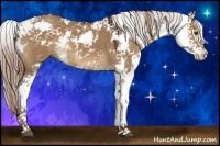 Horse Color:Liver Red Dun Sabino 