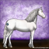 Horse Color:White Spotted Gold Cream Champagne Onyx