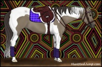 Horse Color:Smoky Grullo Tobiano 