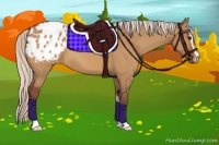 Horse Color:Chocolate Silver Bay Dun Sabino Appaloosa 