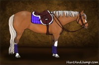 Horse Color:Silver Bay