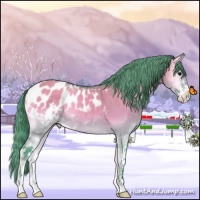 Horse Color:Watercolor Bay Onyx Sabino Appaloosa 