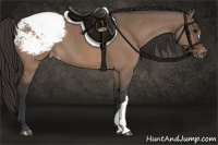 Horse Color:Brown Dun Snowcap Brindle 