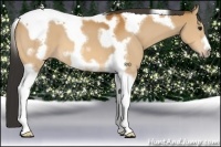 Horse Color:Bay Tobiano Frame 