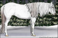 Horse Color:Gray Chestnut Ice Sabino