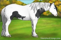 Horse Color:Black Splash Tobiano 