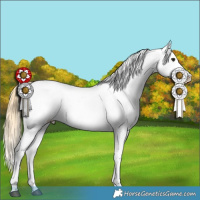 Horse Color:Buckskin Snowcap