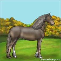 Horse Color:Chocolate Palomino 