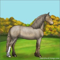 Horse Color:Chocolate Palomino Roan 