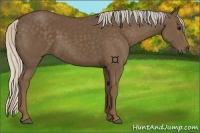 Horse Color:Silver Black 