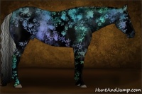 Horse Color:Void Watercolor White Spotted Silver Bay Splash