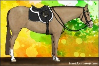 Horse Color:Classic Champagne Sabino