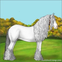 Horse Color:White Spotted Brown Ice 