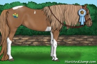 Horse Color:Red Roan Tobiano 