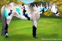 Horse Color:White Spotted Liver Red Onyx Ice