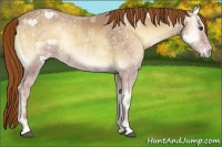 Horse Color:Red Onyx Ice 