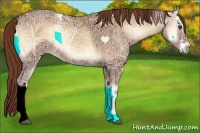 Horse Color:Red Onyx Ice 