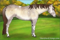 Horse Color:Red Onyx Ice 