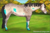 Horse Color:Bay Ice Onyx Sabino 
