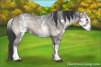 Horse Color:White Spotted Blue Onyx Ice 