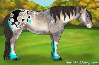 Horse Color:Liver Red Onyx Ice Appaloosa 