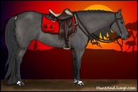 Horse Color:Black Rabicano 