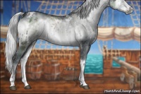 Horse Color:White Spotted Silver Blue Onyx Chinchilla Sabino 