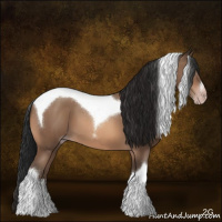 Horse Color:Gray Amber Champagne Tobiano
