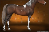 Horse Color:Liver Chestnut Sabino Tobiano 