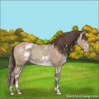 Horse Color:White Spotted Classic Champagne Varnish 