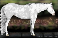 Horse Color:Silver Classic Champagne Chinchilla Dun Sabino