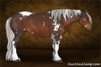 Horse Color:White Spotted Silver Brown Tobiano