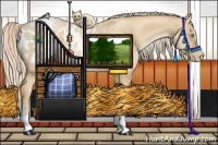 Horse Color:Palomino Pearl Tobiano Appaloosa 