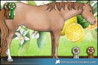 Horse Color:Chestnut Pearl 